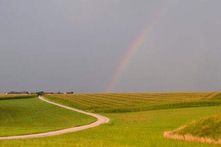 After the rain country side fields