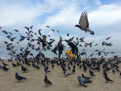 Sea beach