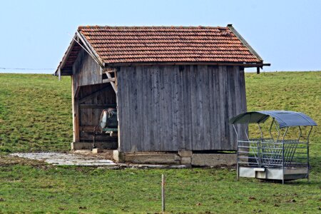 Field meadow field barn photo