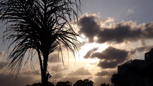 Tree travel horizon