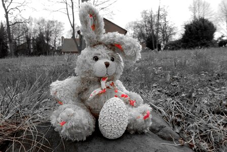 Stuffed animal teddy bear cute