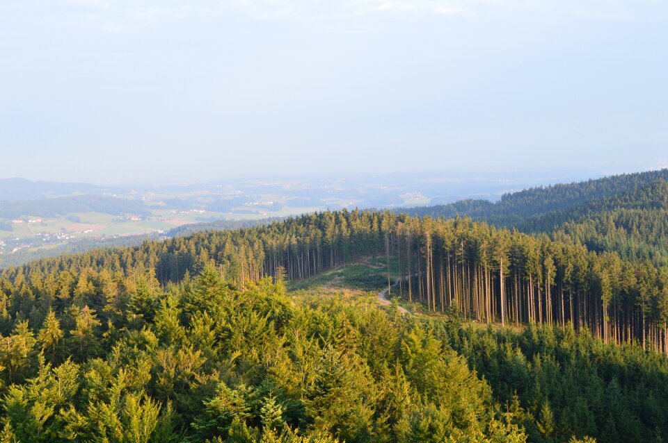 View tower austria late afternoon