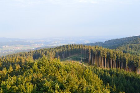 View tower austria late afternoon