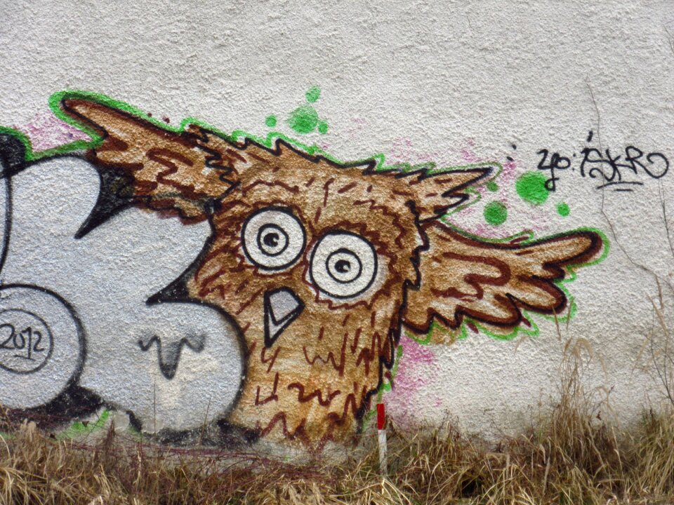 Animal street art painted