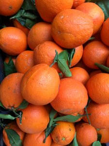 Healthy vitamins vitamin c