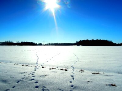 Frozen finnish snowy