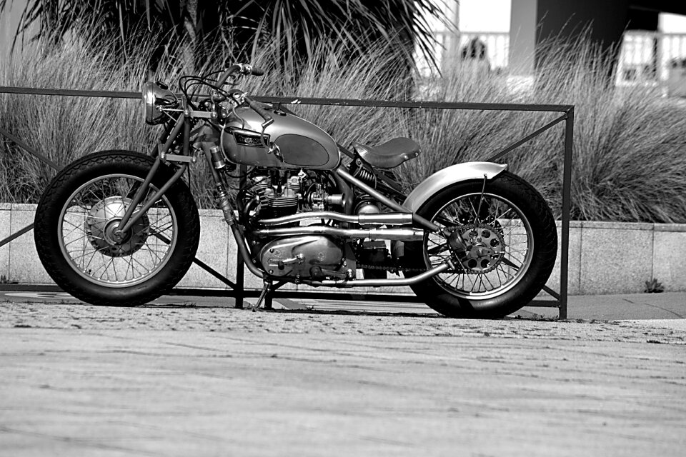 Transport leisure black and white