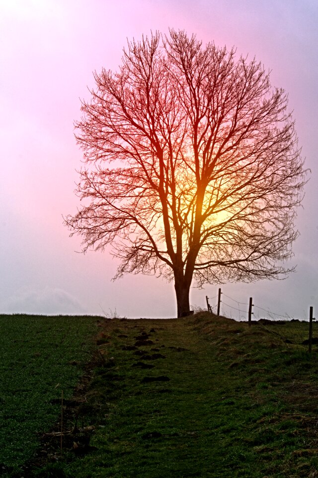 Sun sunset mood