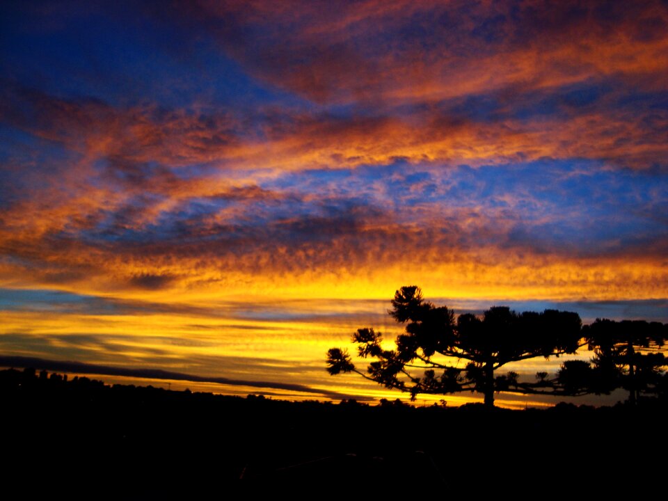 End of afternoon silhouette sunset