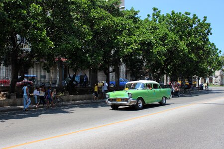 Green havana auto