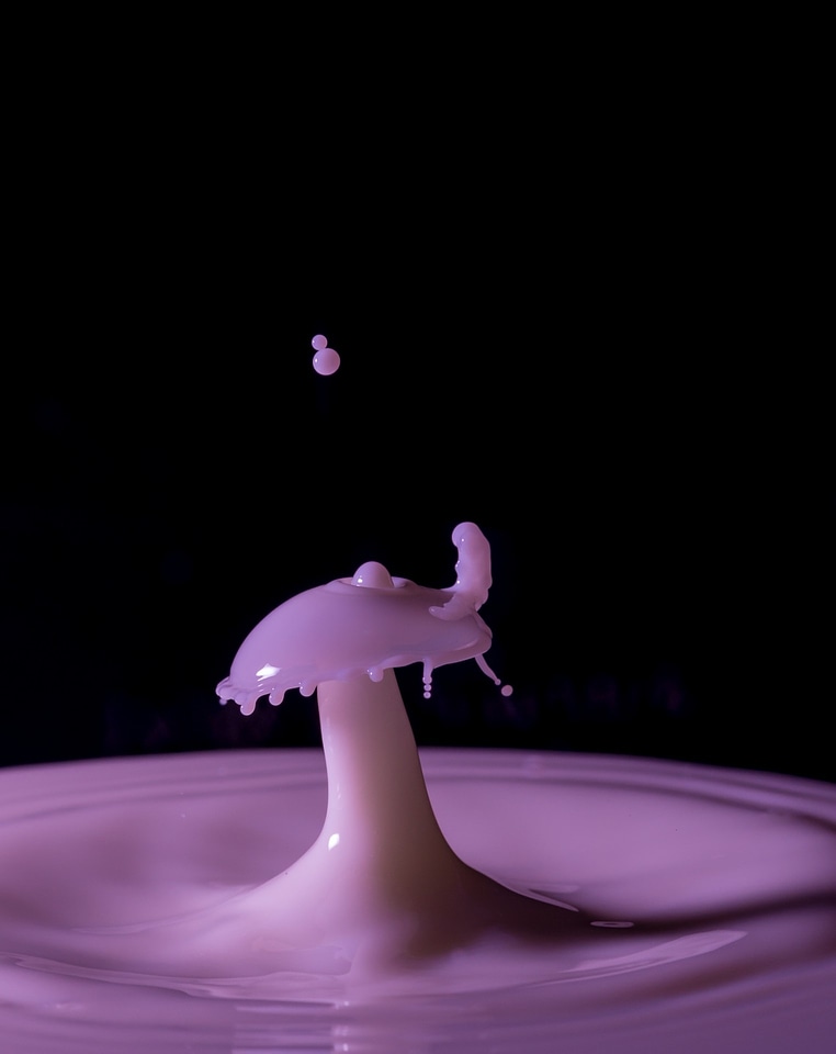 Wool mushroom purple