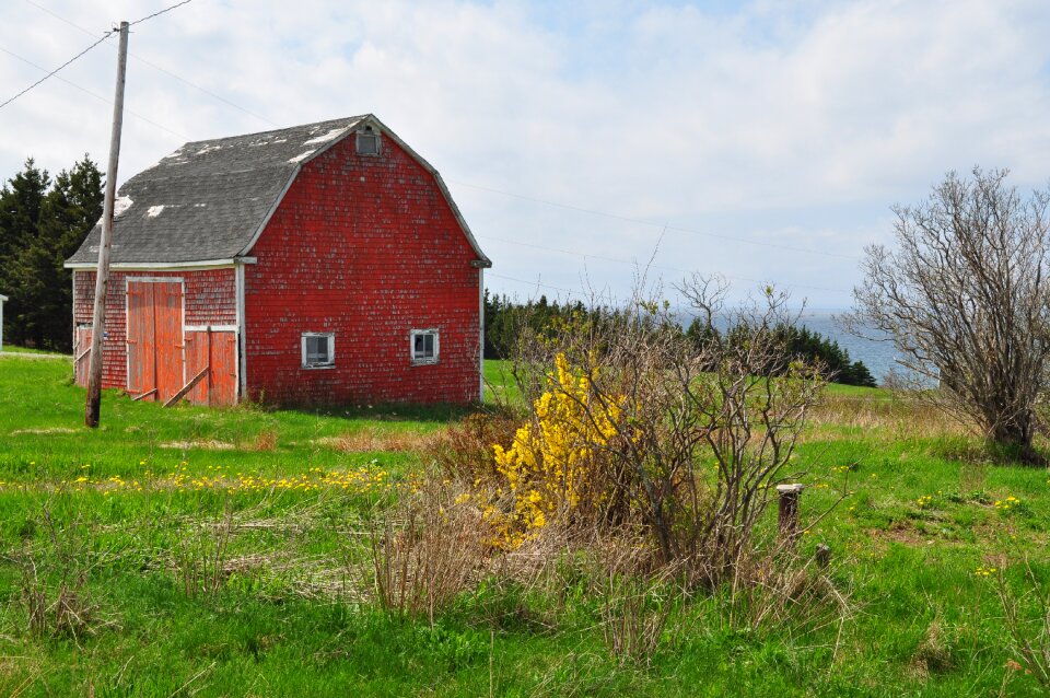 Weathered countryside