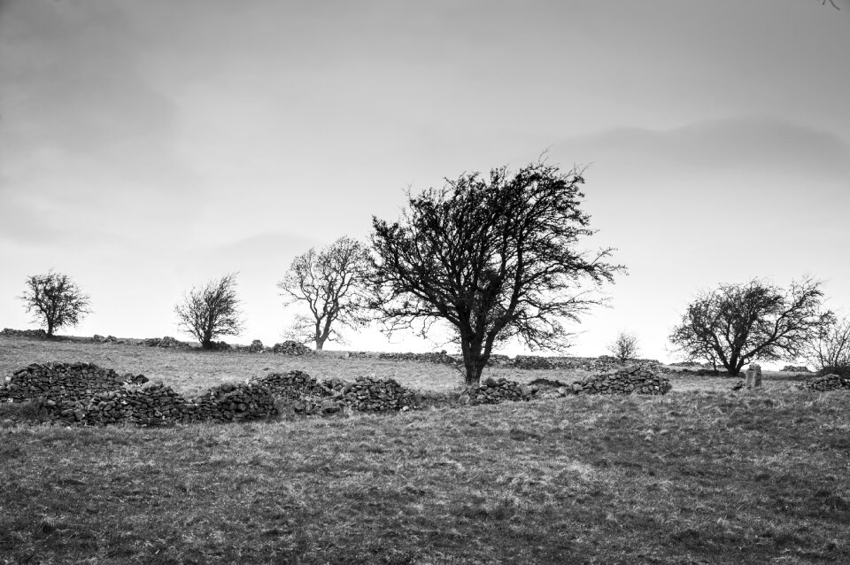 Landscape sky scenic