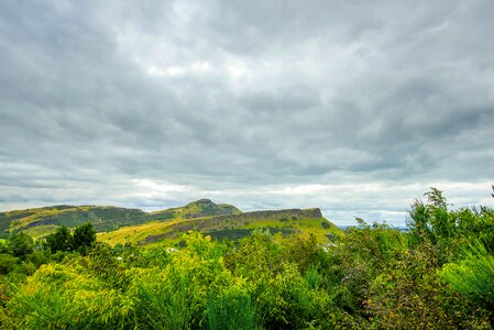 View nature grass photo