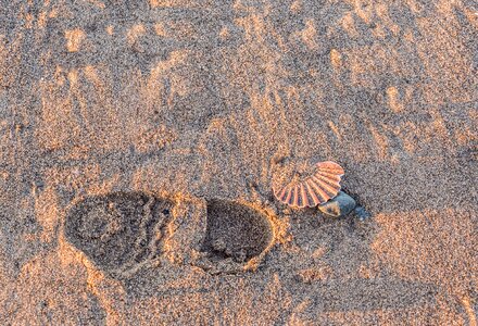 Beach sand costa photo