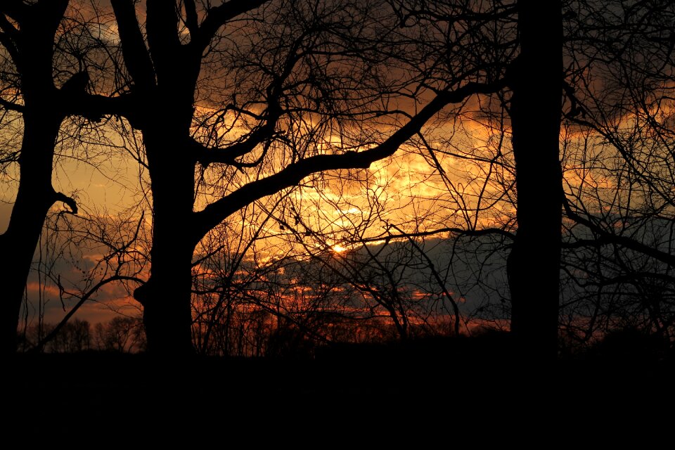 Nature morning sunlight