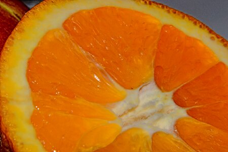 Orange pulp Free photos