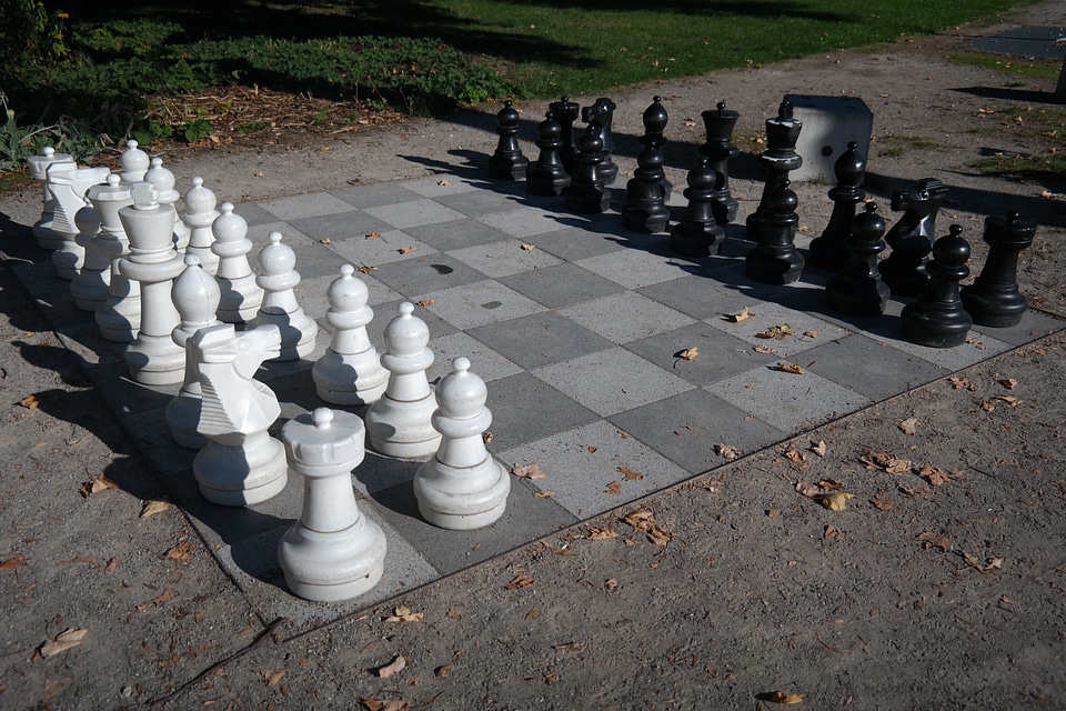 Black white chess game