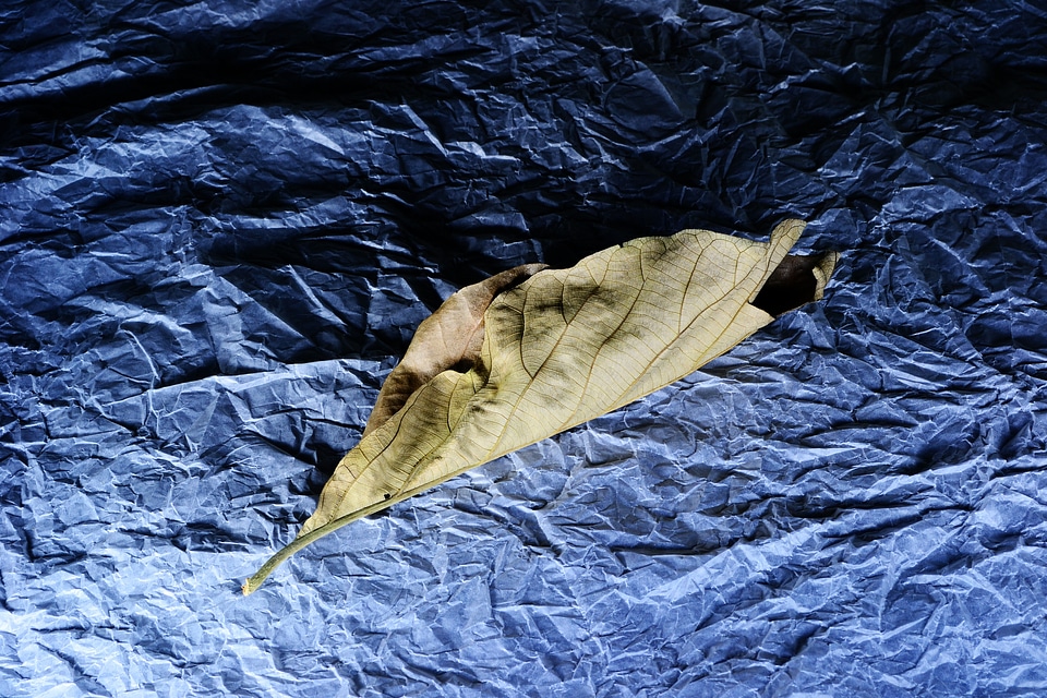 Tissue paper light moody