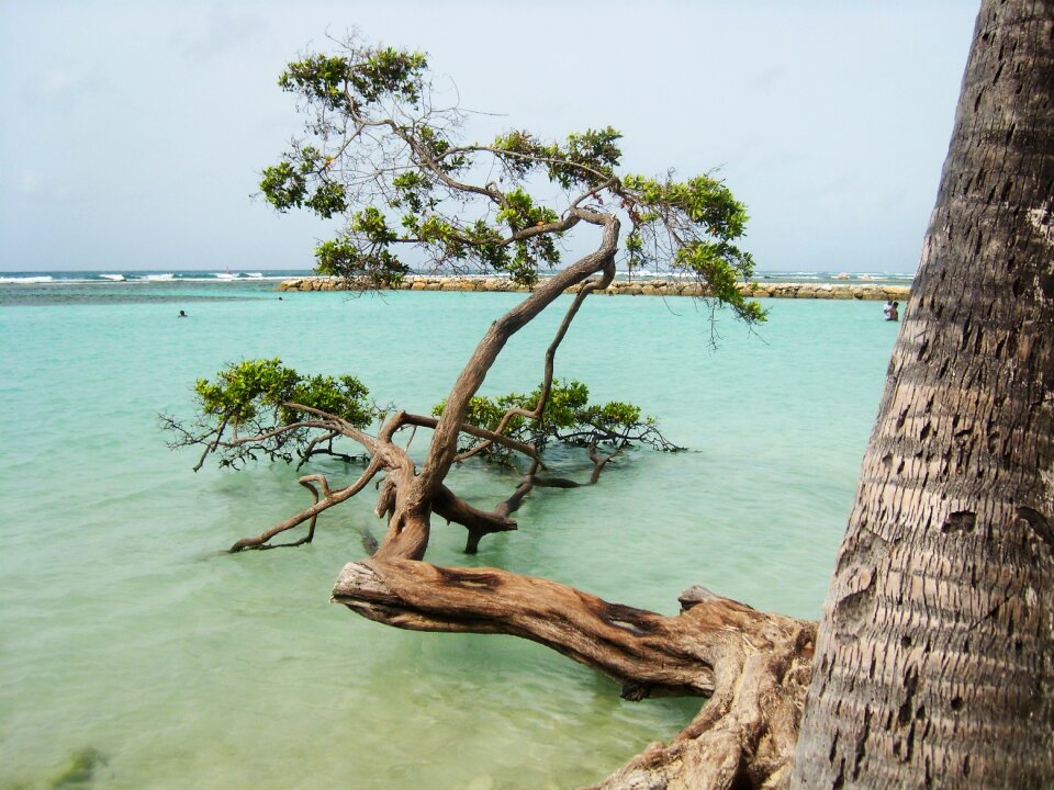 Landscape island holiday