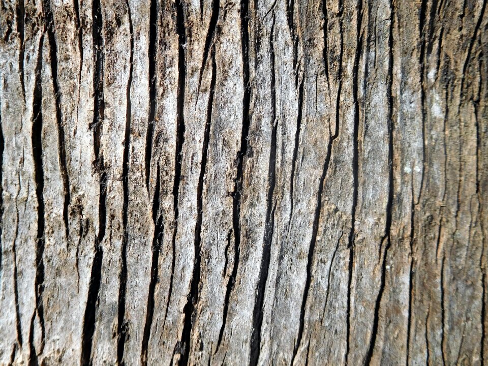 Natural texture nature