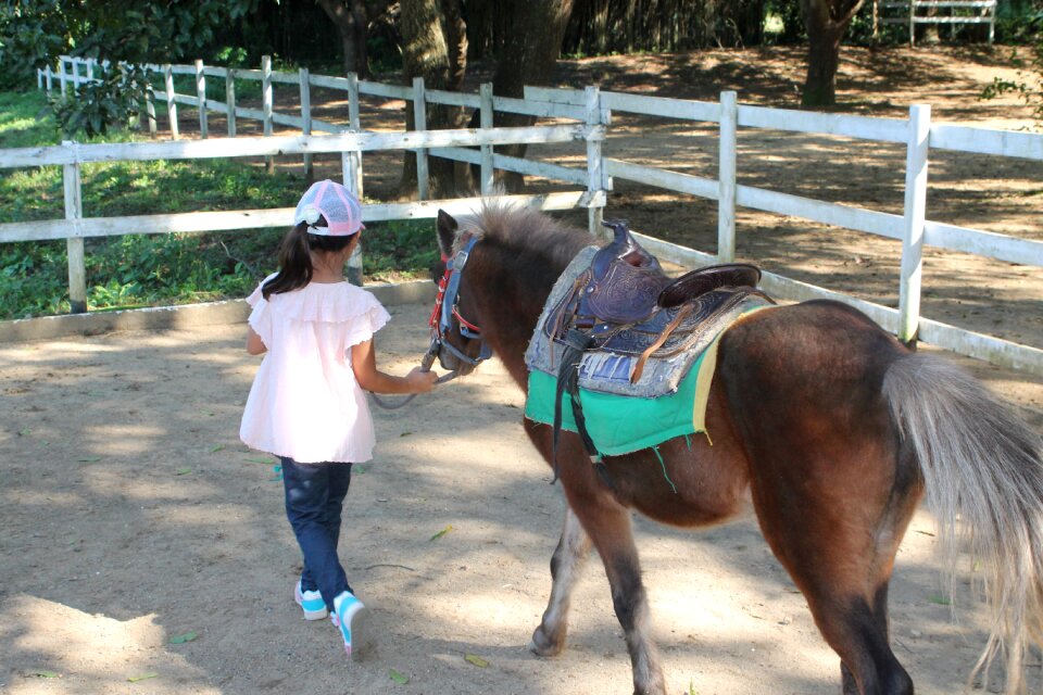 Equestrian happy riding