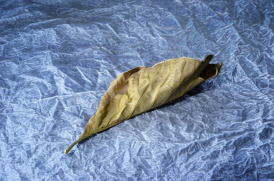 Tissue paper light moody