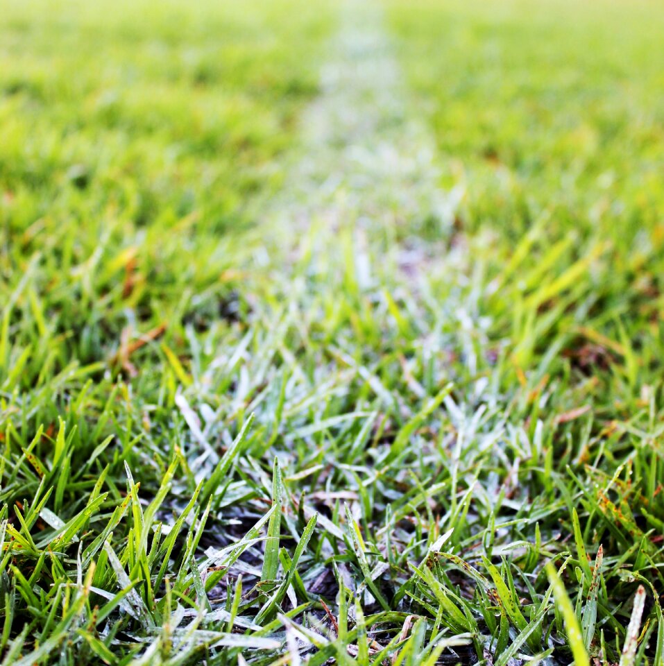 Line football field sport
