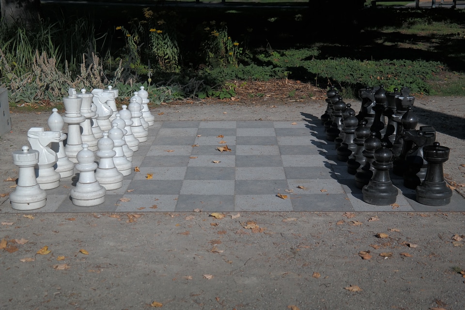 Black white chess game