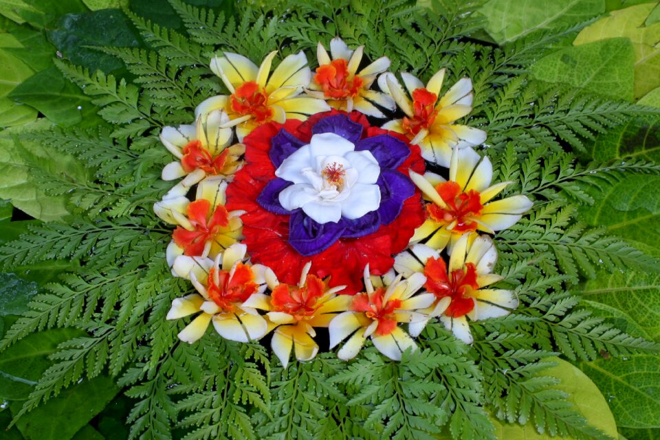 Colors flower arrangement hinduism