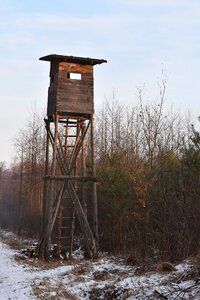 Forest wooden lookout photo