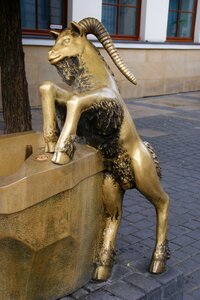 Lublin gold fountain