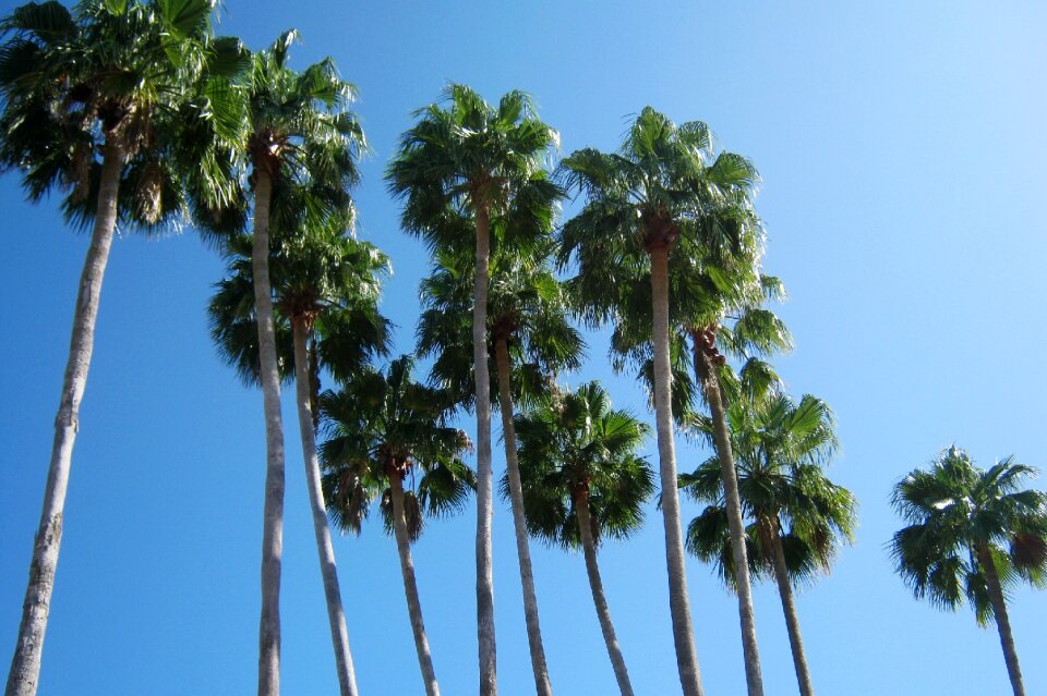 Summer blue sky sky