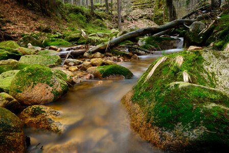 Landscape nature brook photo