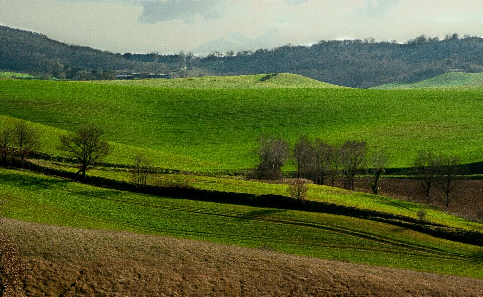 Hills fields prairie