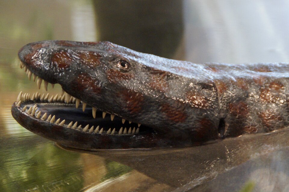Museum stuttgart exhibit