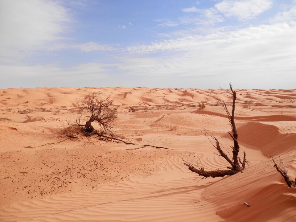 Sahara desert tunisia