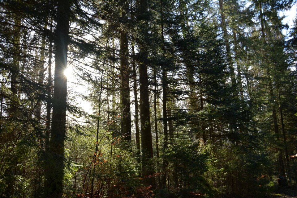 Light beam atmosphere mysticism