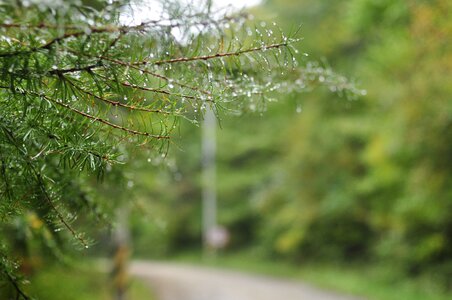 Autumn output non