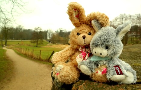 Plush toys stuffed animal funny