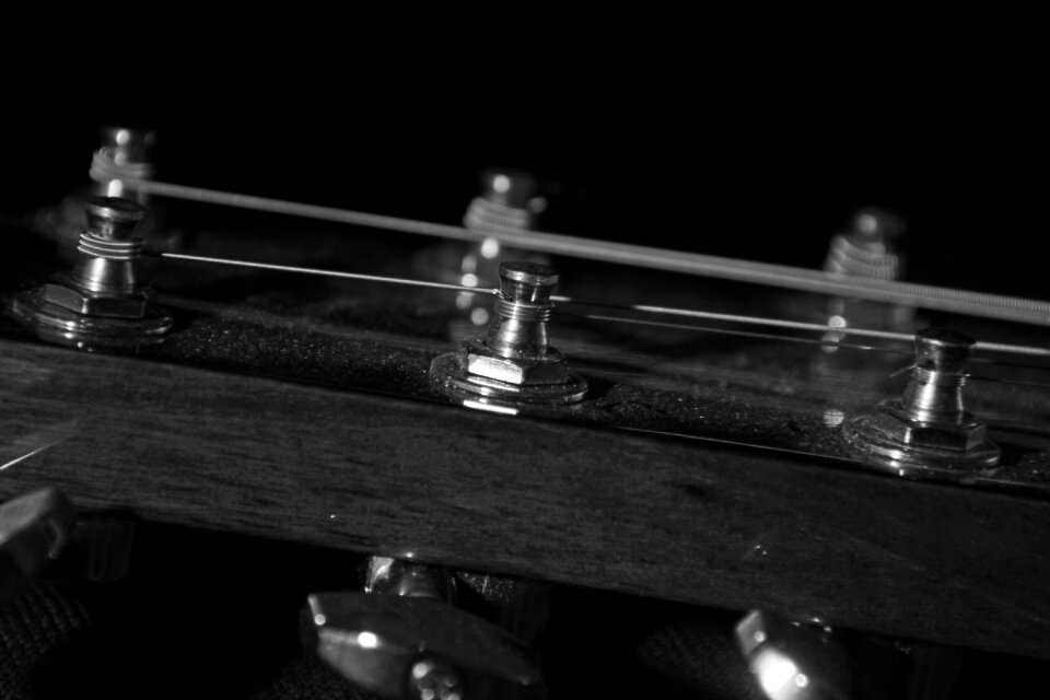 Music instrument peg