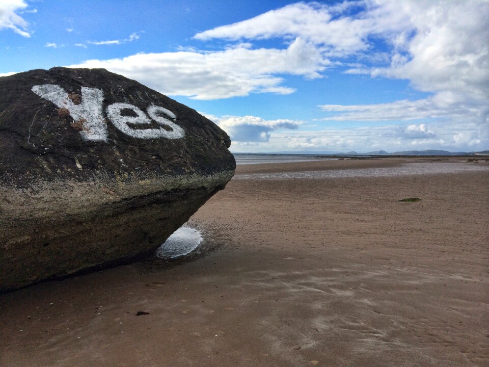 Beach blue ayrshire