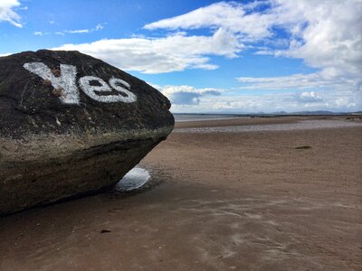 Beach blue ayrshire