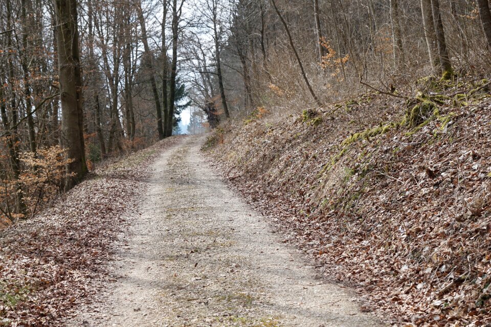 Tuttlingen möhringen germany