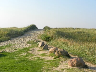 Sand garcia grass photo