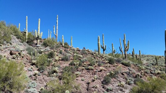 Arizona desert landscape photo