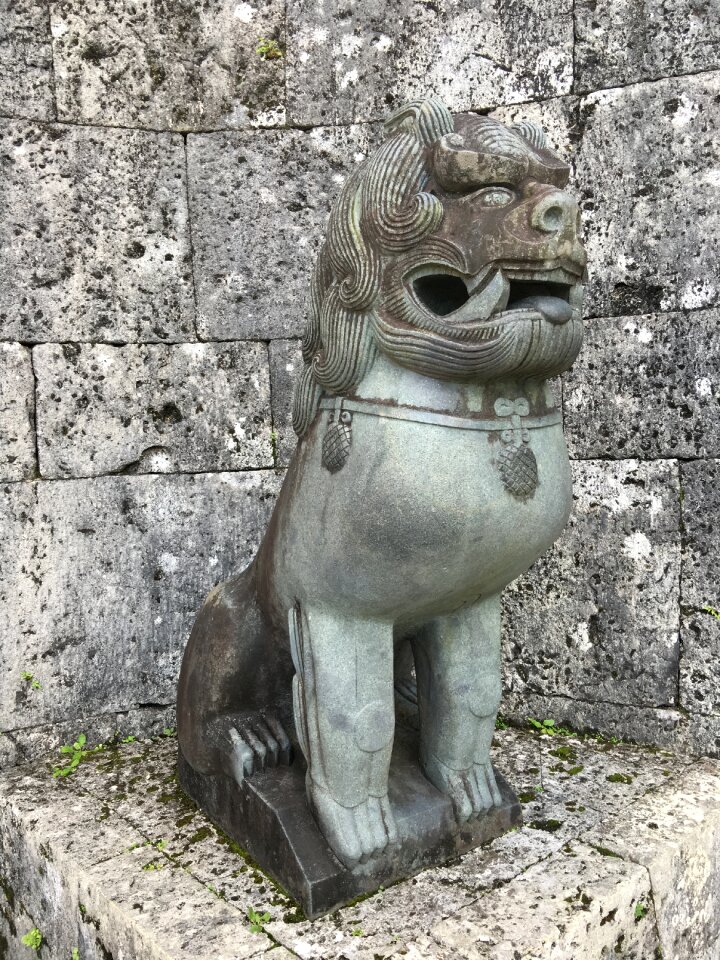 Entrance idol lion idol