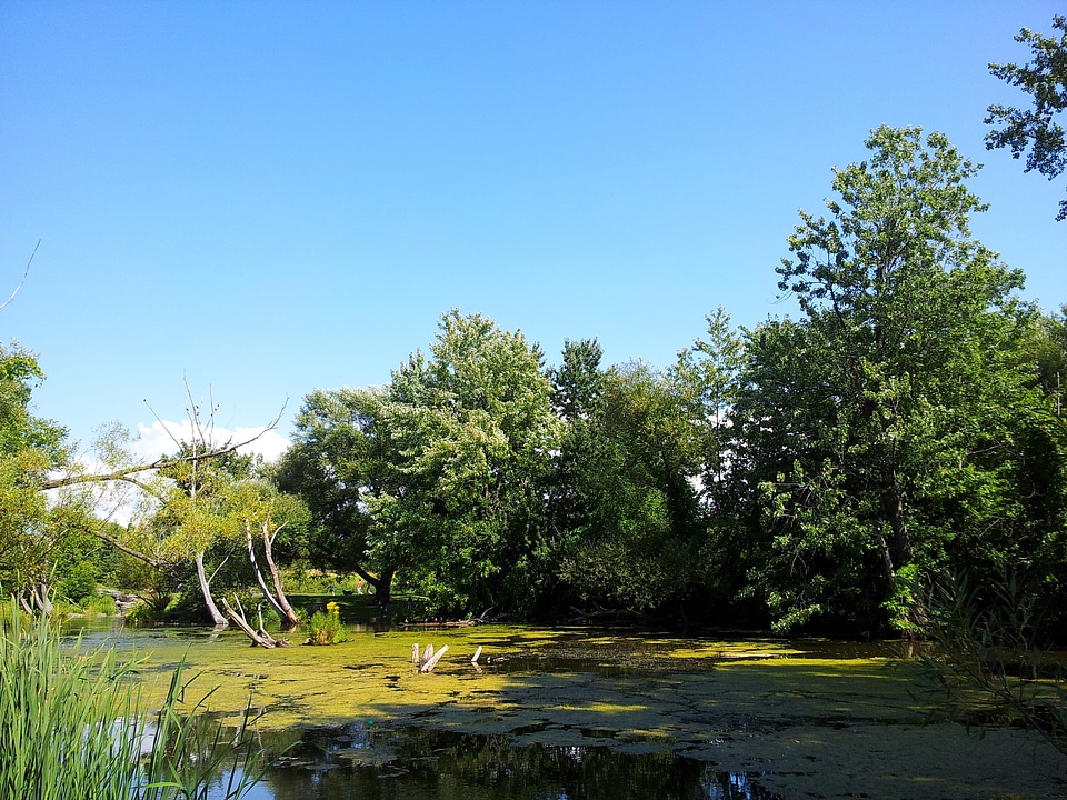 Landscape wilderness scenery
