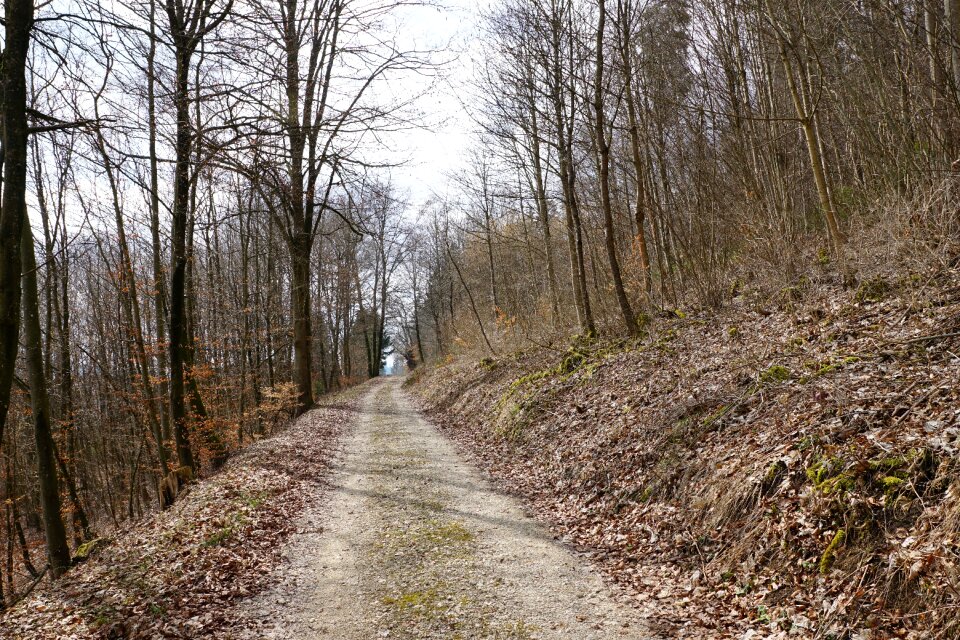 Tuttlingen möhringen germany
