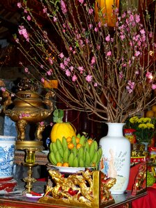 Temple buddhism animism